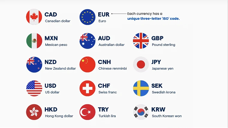 这张信息图展示了全球主要货币及其ISO代码，包括美元（USD）、欧元（EUR）、英镑（GBP）和日元（JPY），这些货币广泛用于外汇交易和外汇市场。