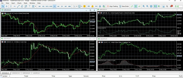 Forex trading platform showing multiple currency pair charts with green candlesticks